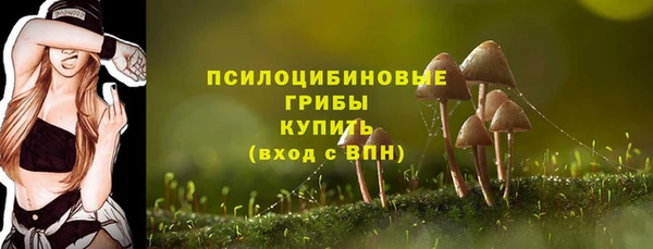 амф Алзамай