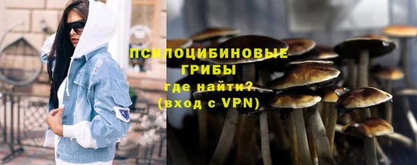 амф Алзамай