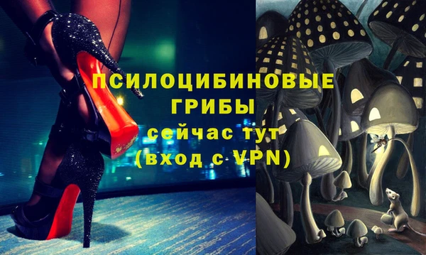 дживик Алексин