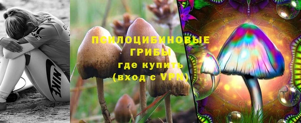 амф Алзамай